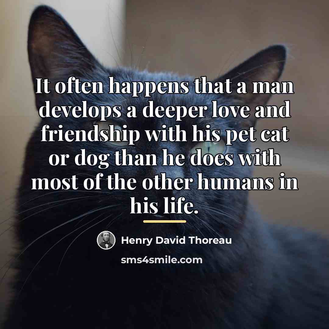 “It often happens that a man develops a deeper love…” quote by Henry David Thoreau
