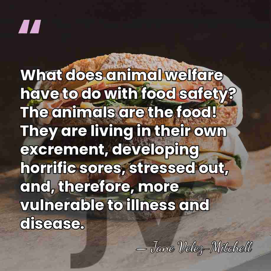 What does animal welfare have to do with food safety? The animals&hellip; - Jane Velez-Mitchell
