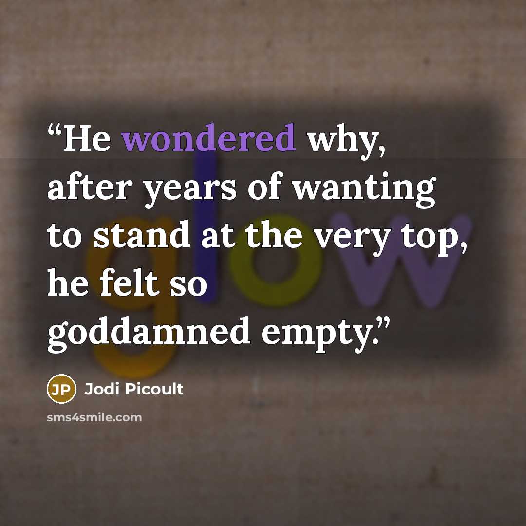“He wondered why, after years of wanting to stand at the very top, he felt so goddamned empty.” quote by Jodi Picoult