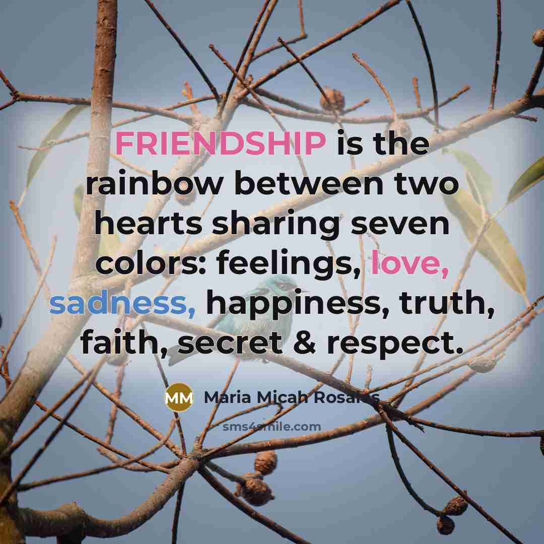 “FRIENDSHIP is the rainbow between two hearts sharing seven colors:…” quote by Maria Micah Rosales