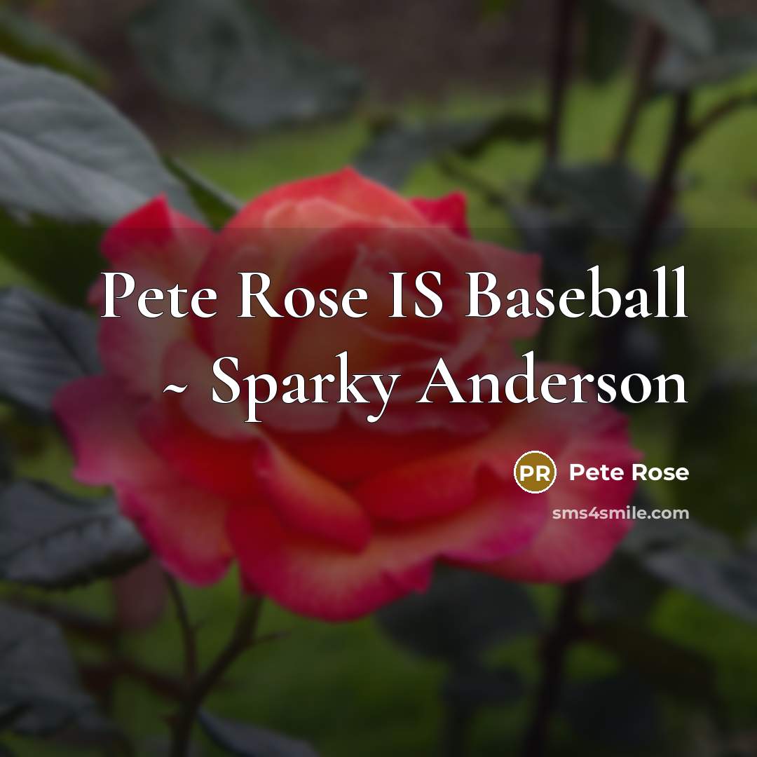 “Pete Rose IS Baseball ~ Sparky Anderson” quote by Pete Rose