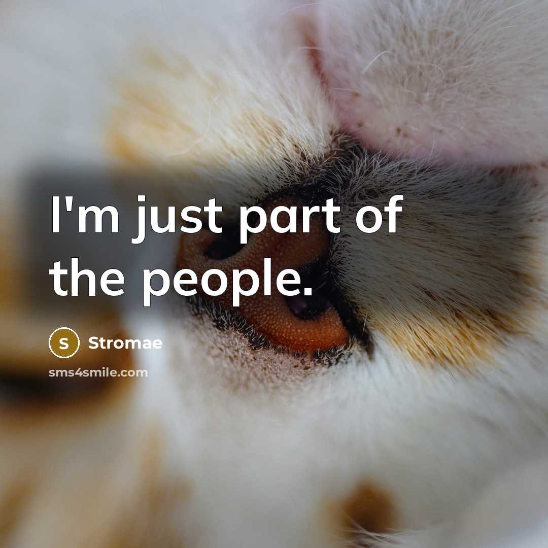 “I'm just part of the people.…” quote by Stromae