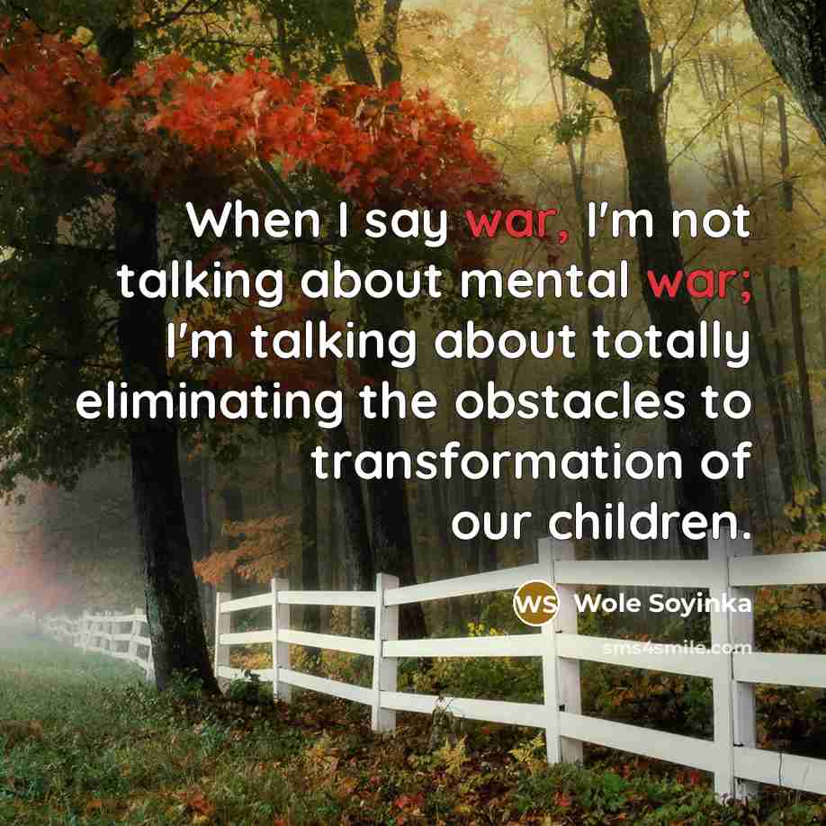 “When I say war, I'm not talking about mental war;…” quote by Wole Soyinka