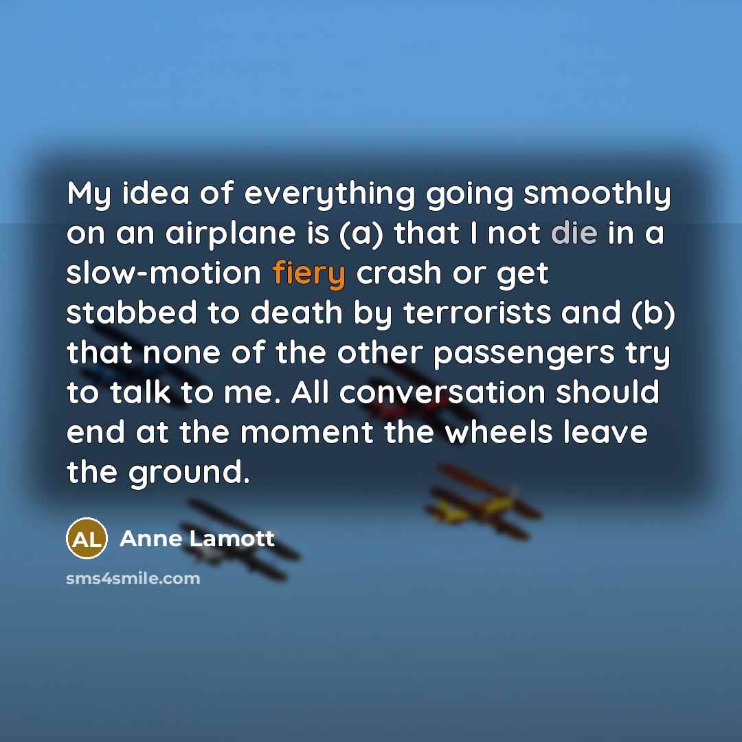 “My idea of everything going smoothly on an airplane is…” quote by Anne Lamott
