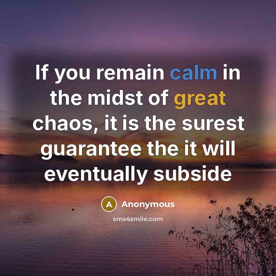 “If you remain calm in the midst of great chaos,…” quote by Anonymous