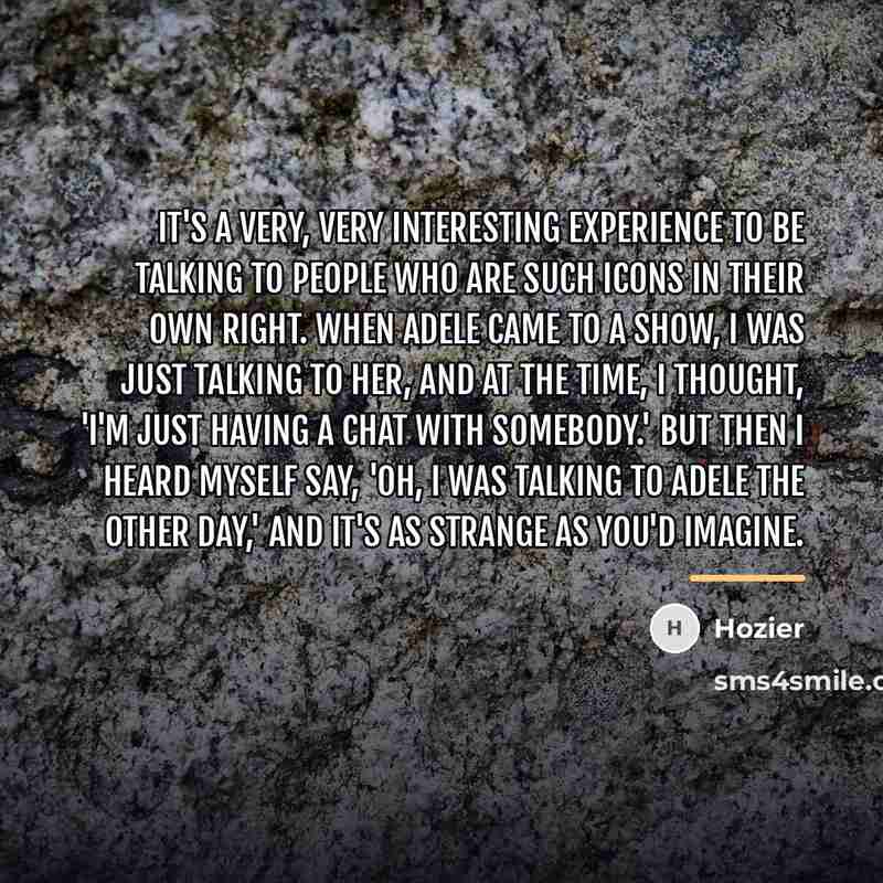 “It's a very, very interesting experience to be talking to…” quote by Hozier