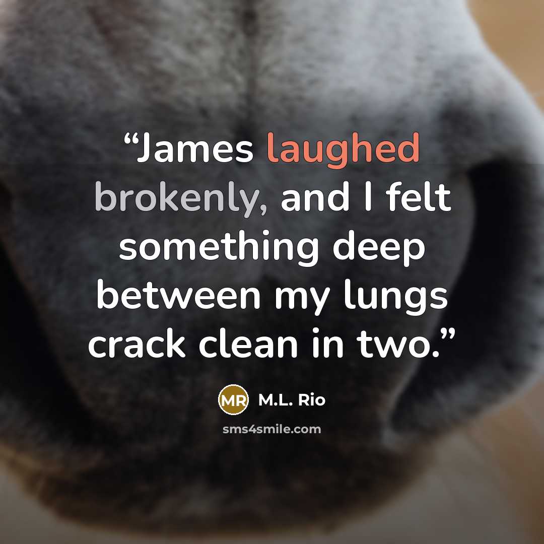“James laughed brokenly, and I felt something deep between my lungs crack clean in two.” quote by M.L. Rio