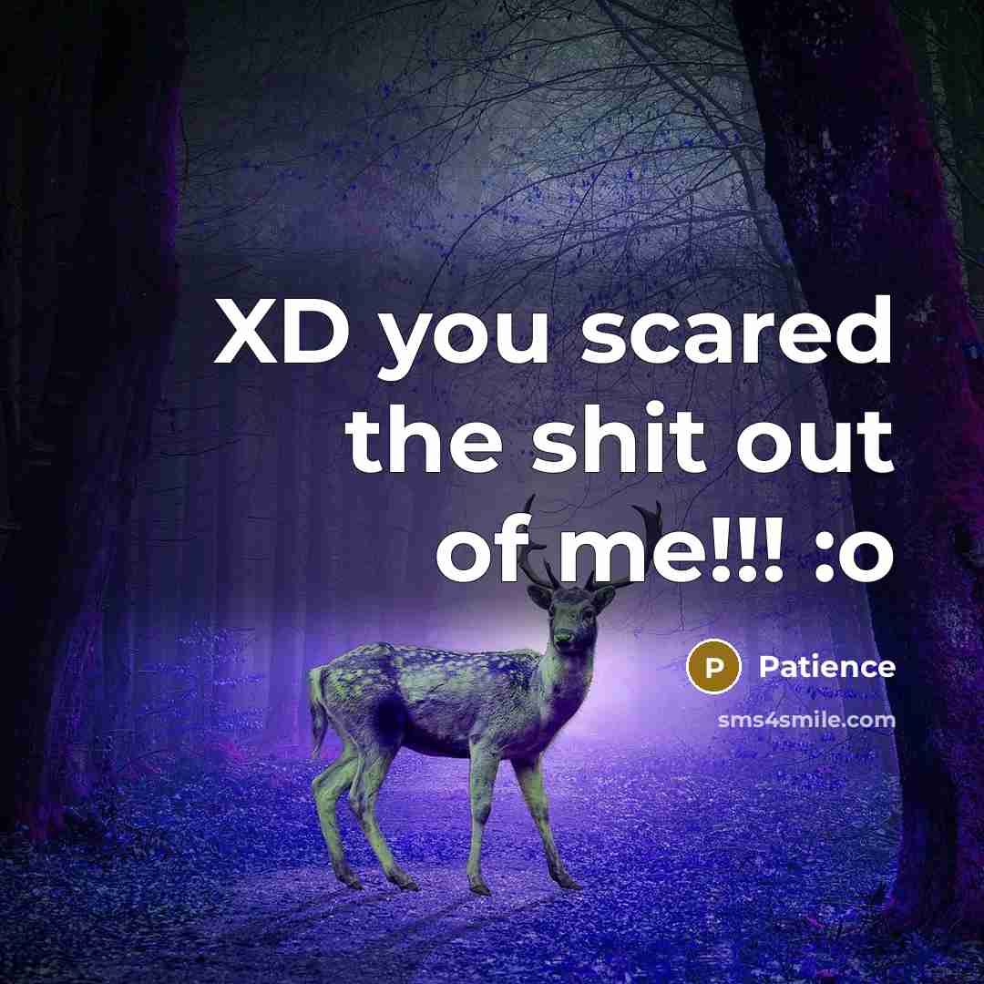 “XD you scared the shit out of me!!! :o…” quote by Patience