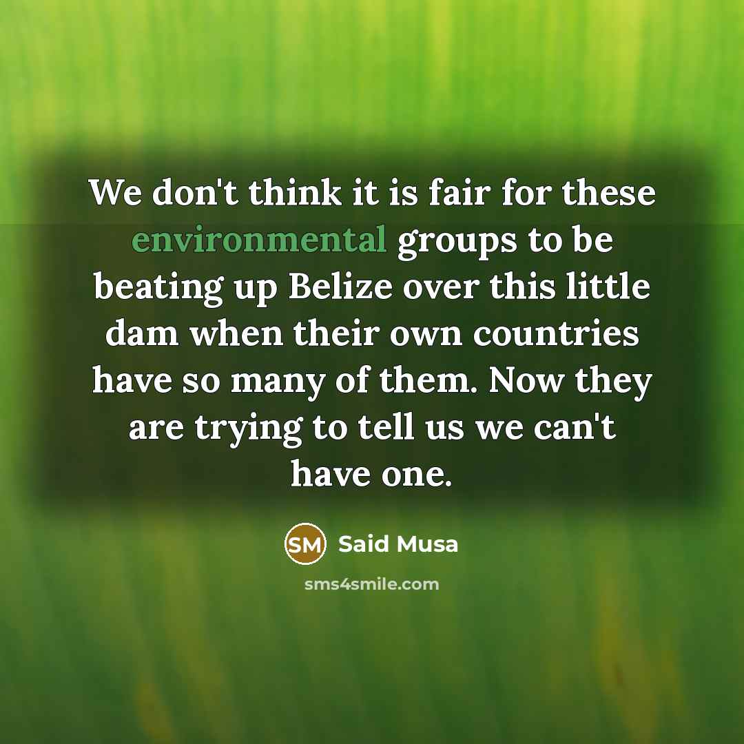 “We don't think it is fair for these environmental groups…” quote by Said Musa