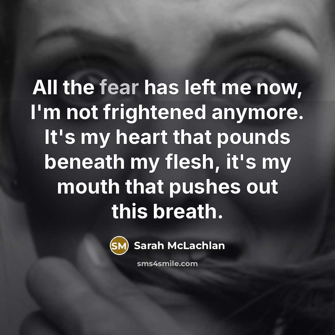 “All the fear has left me now, I'm not frightened anymore. It's my heart that pounds beneath my flesh, it's my mouth that pushes out this breath.” quote by Sarah McLachlan