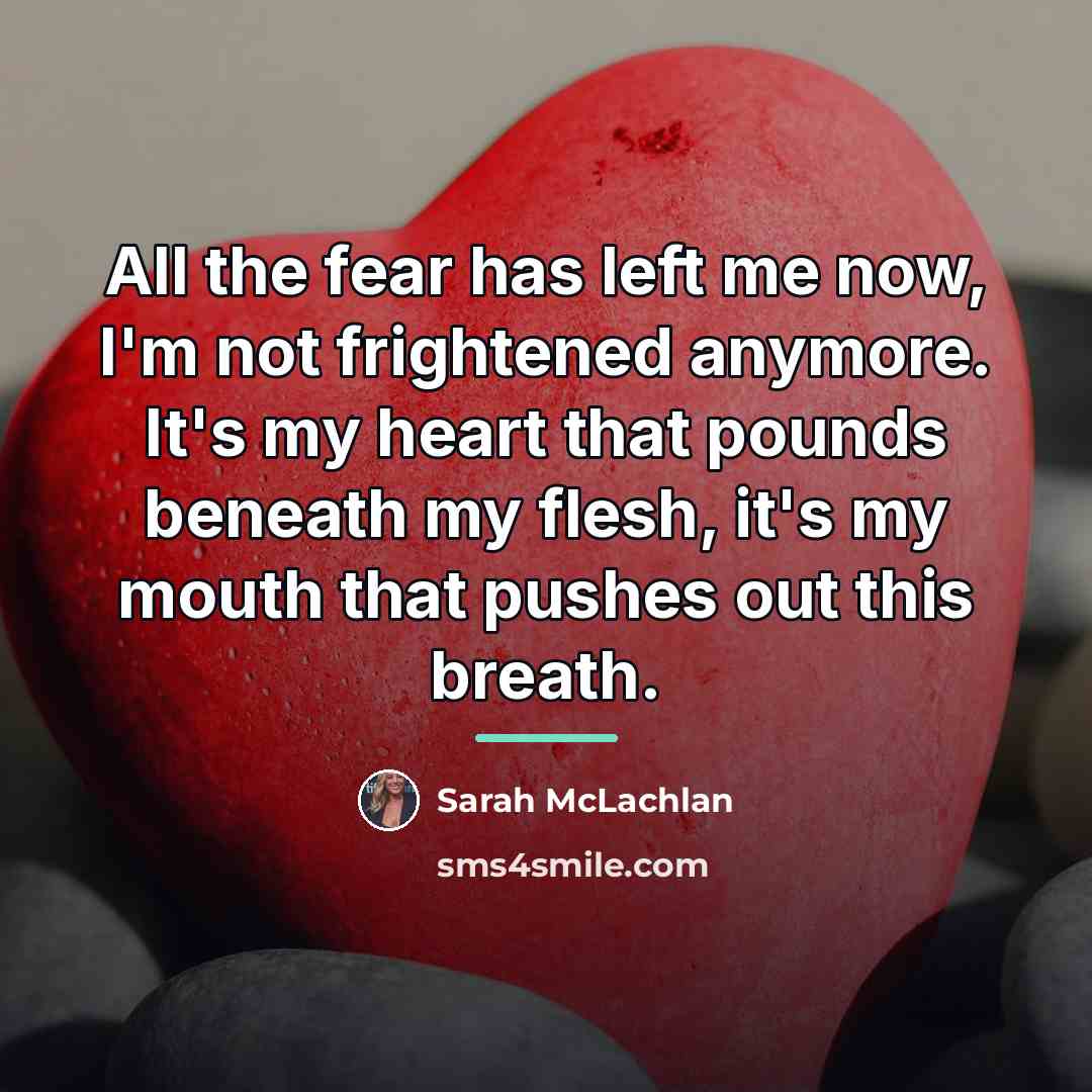 “All the fear has left me now, I'm not frightened…” quote by Sarah McLachlan