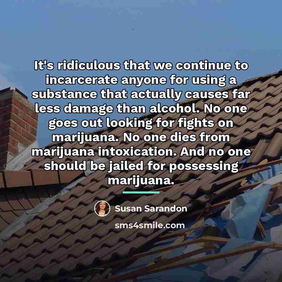 “It's ridiculous that we continue to incarcerate anyone for using…” quote by Susan Sarandon