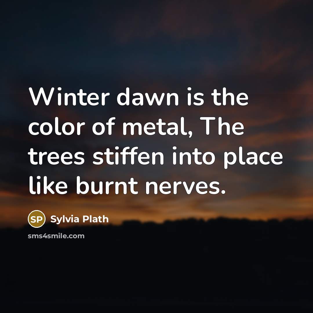 “Winter dawn is the color of metal, The trees stiffen…” quote by Sylvia Plath