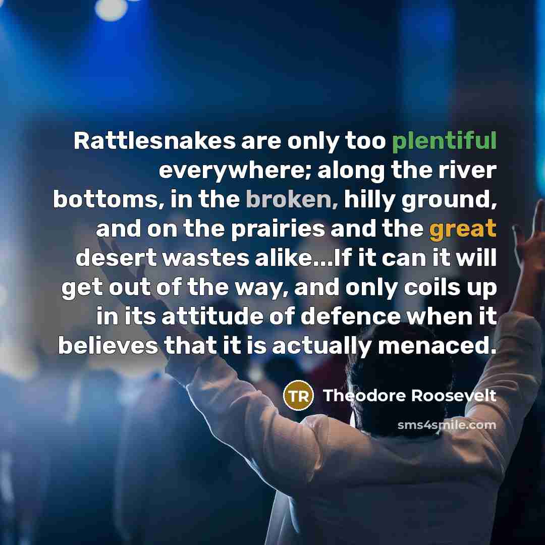 “Rattlesnakes are only too plentiful everywhere; along the river bottoms,…” quote by Theodore Roosevelt