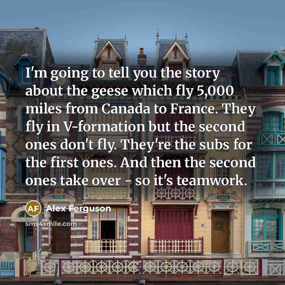 “I'm going to tell you the story about the geese…” quote by Alex Ferguson