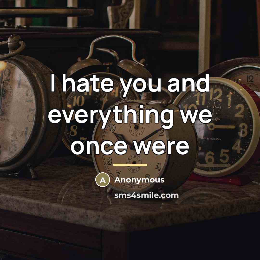 “I hate you and everything we once were…” quote by Anonymous