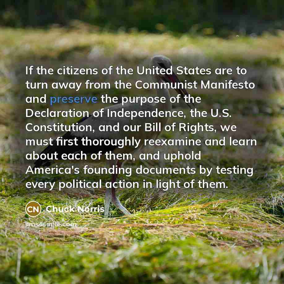 “If the citizens of the United States are to turn…” quote by Chuck Norris