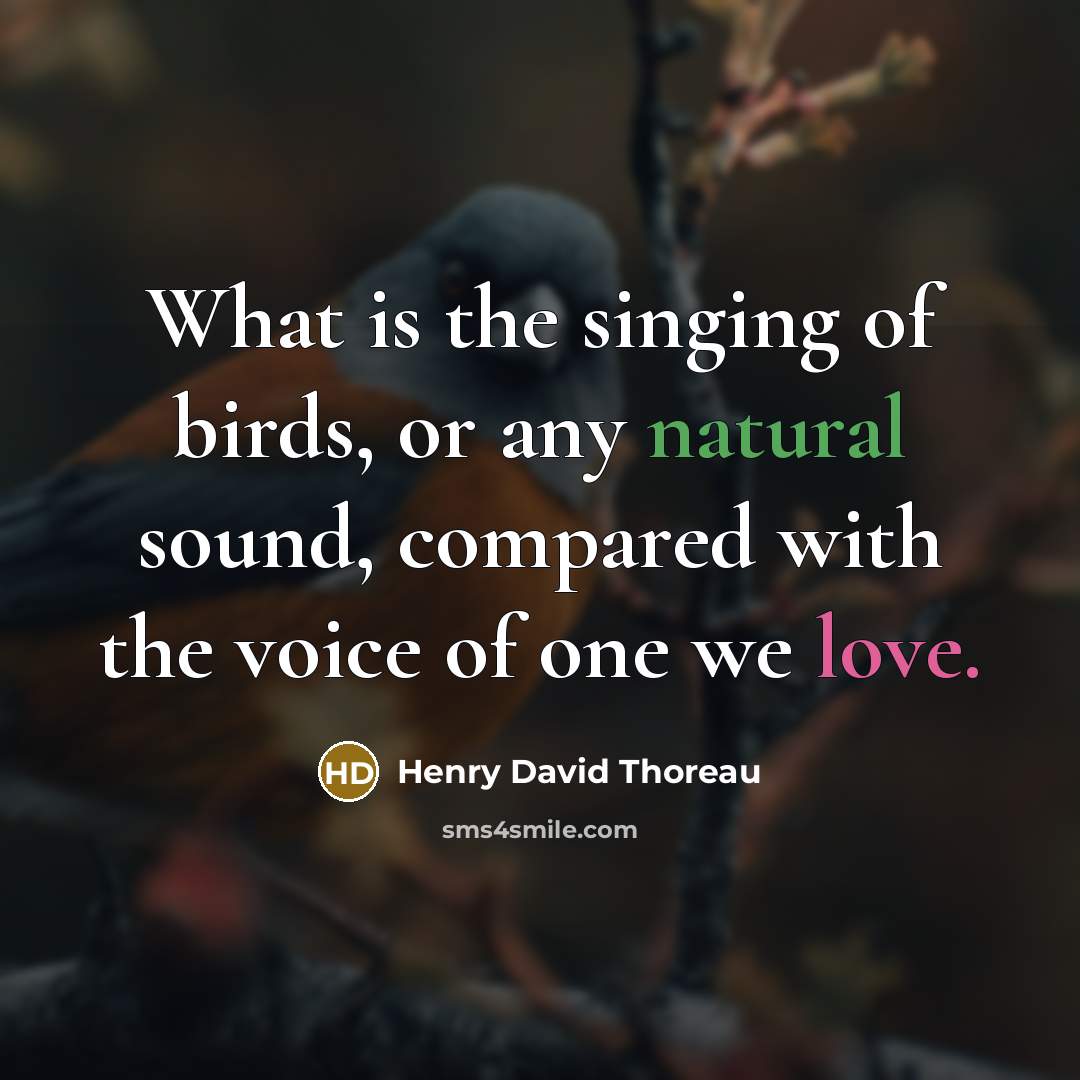 “What is the singing of birds, or any natural sound,…” quote by Henry David Thoreau