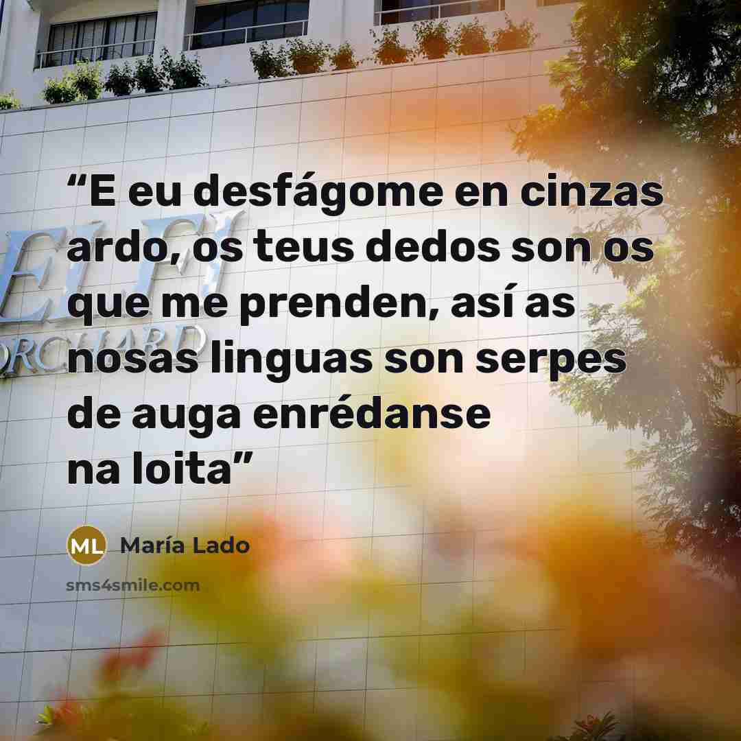 “E eu desfágome en cinzas ardo, os teus dedos son os que me prenden, así as nosas linguas son serpes de auga enrédanse na loita” quote by María Lado