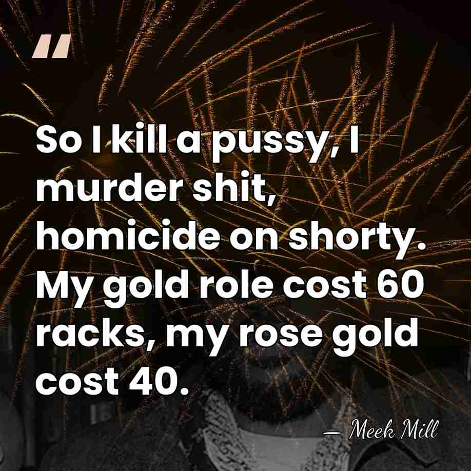 So I kill a pussy, I murder shit, homicide on shorty. My&hellip; - Meek Mill