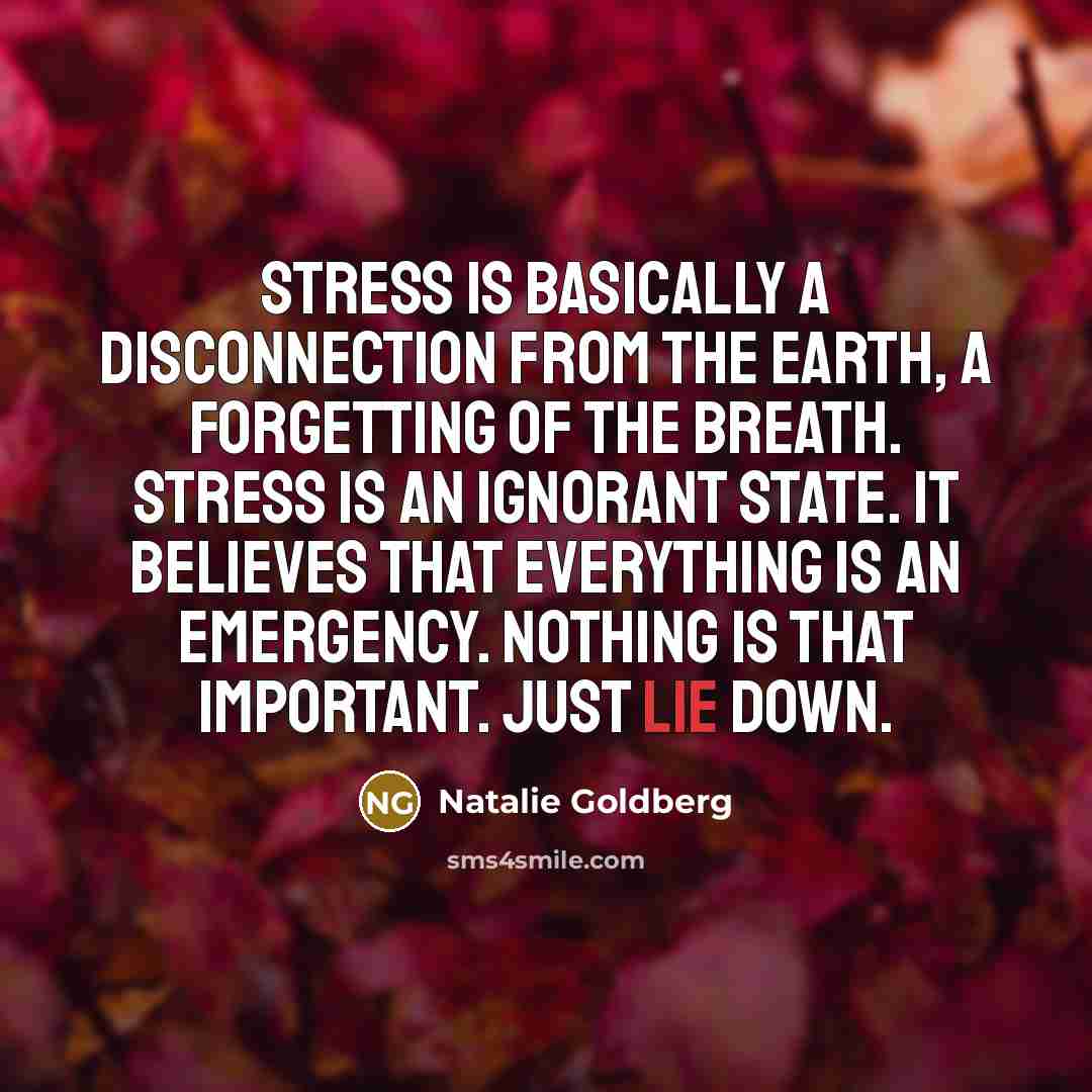 “Stress is basically a disconnection from the earth, a forgetting…” quote by Natalie Goldberg