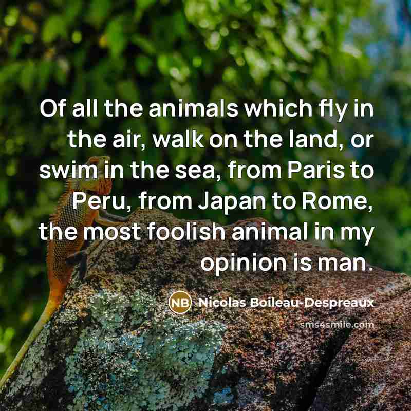 “Of all the animals which fly in the air, walk…” quote by Nicolas Boileau-Despreaux