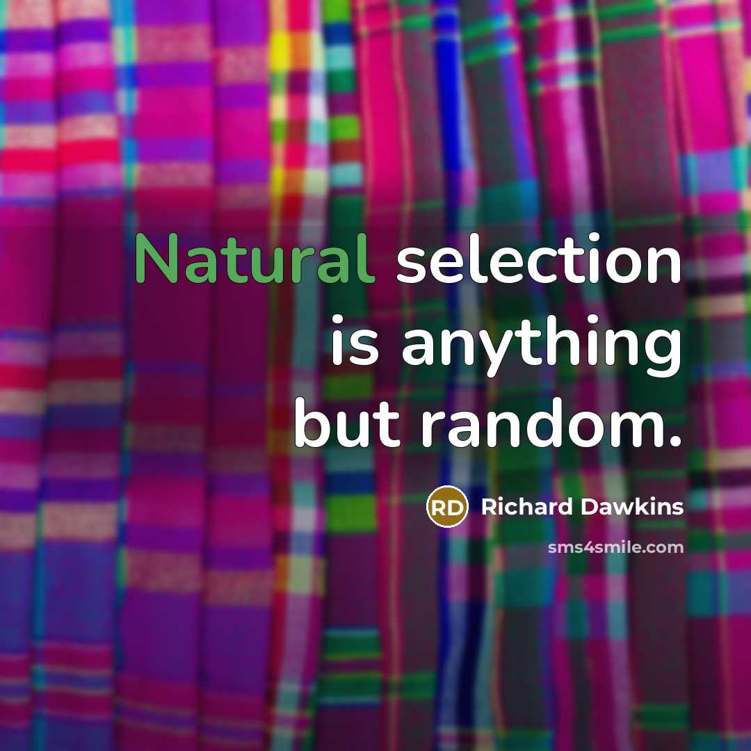 “Natural selection is anything but random.…” quote by Richard Dawkins