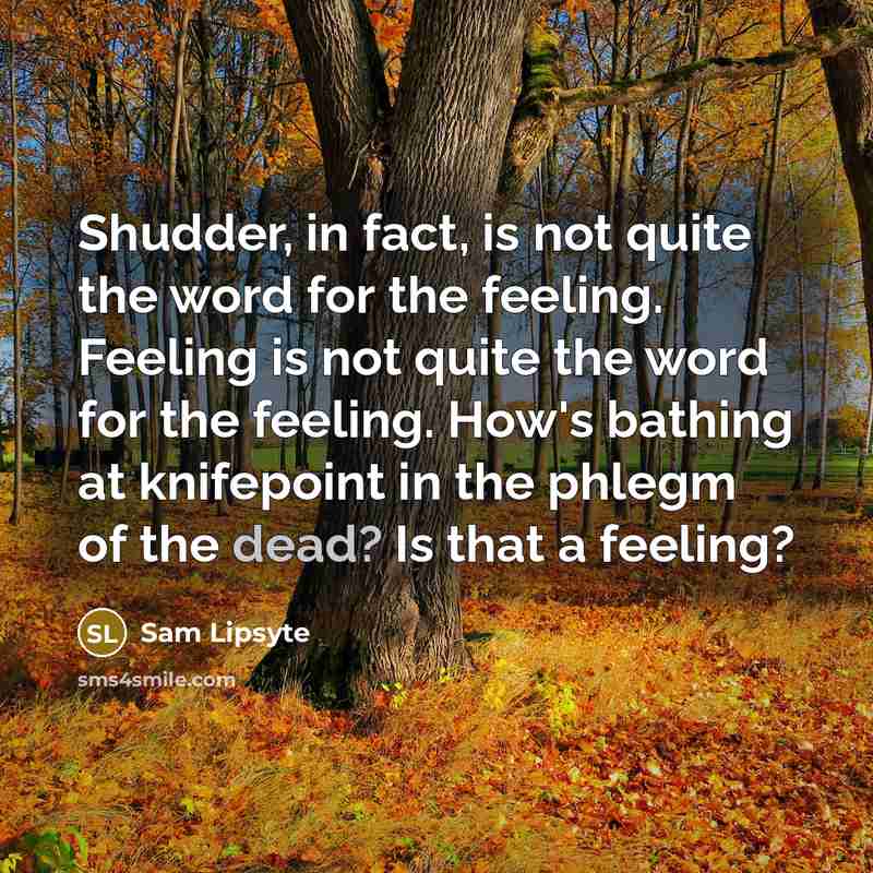 “Shudder, in fact, is not quite the word for the…” quote by Sam Lipsyte