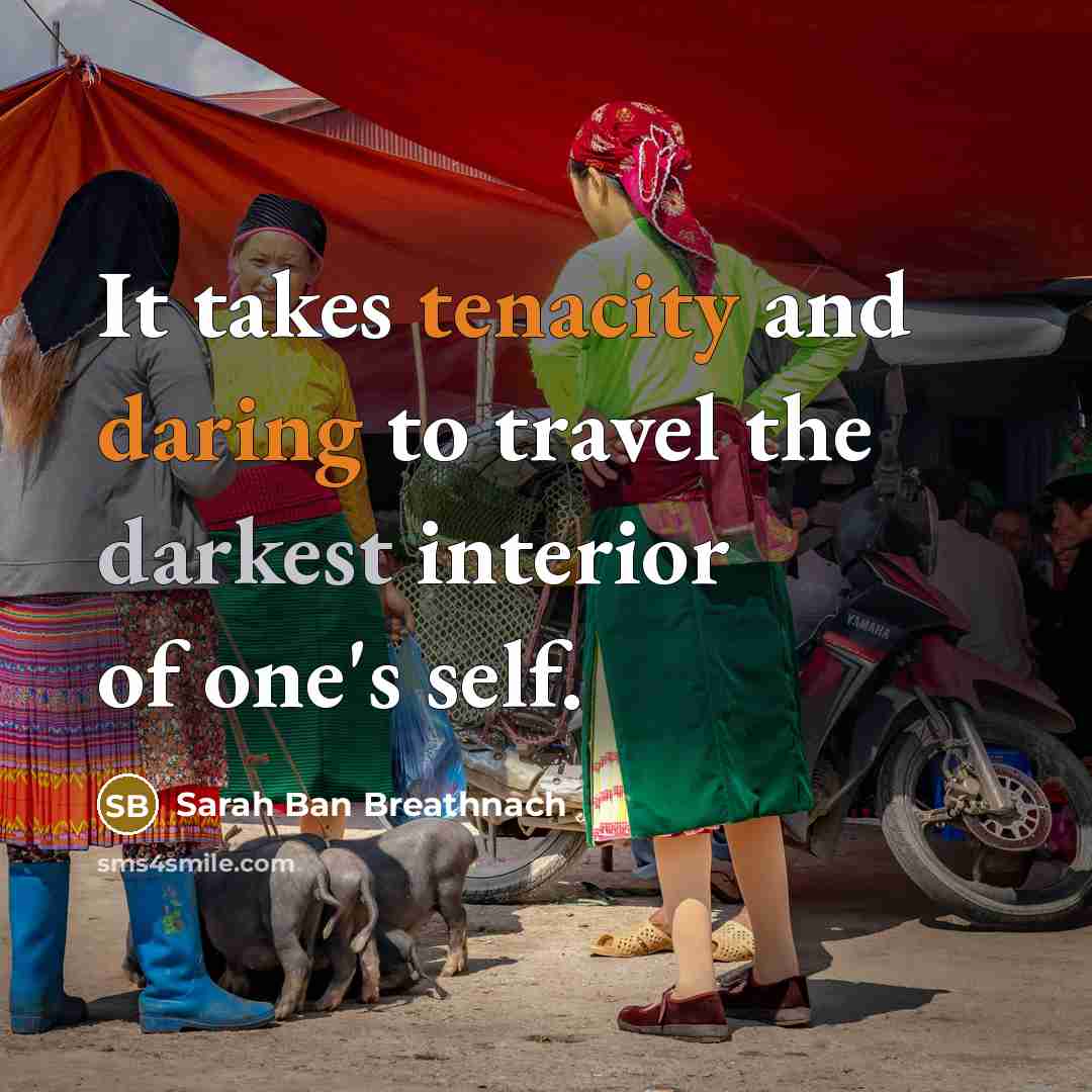“It takes tenacity and daring to travel the darkest interior…” quote by Sarah Ban Breathnach