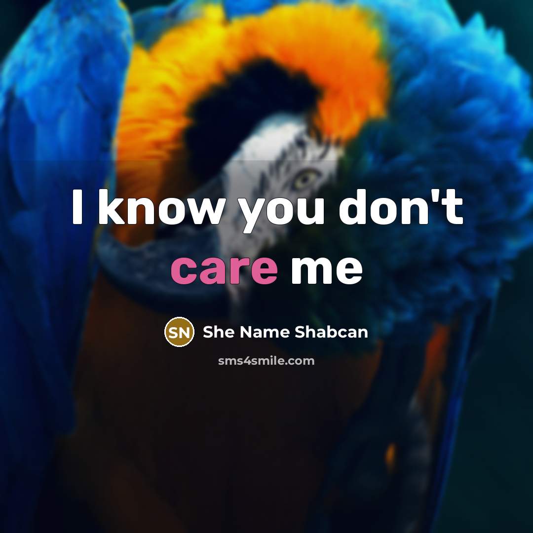 “I know you don't care me” quote by She Name Shabcan