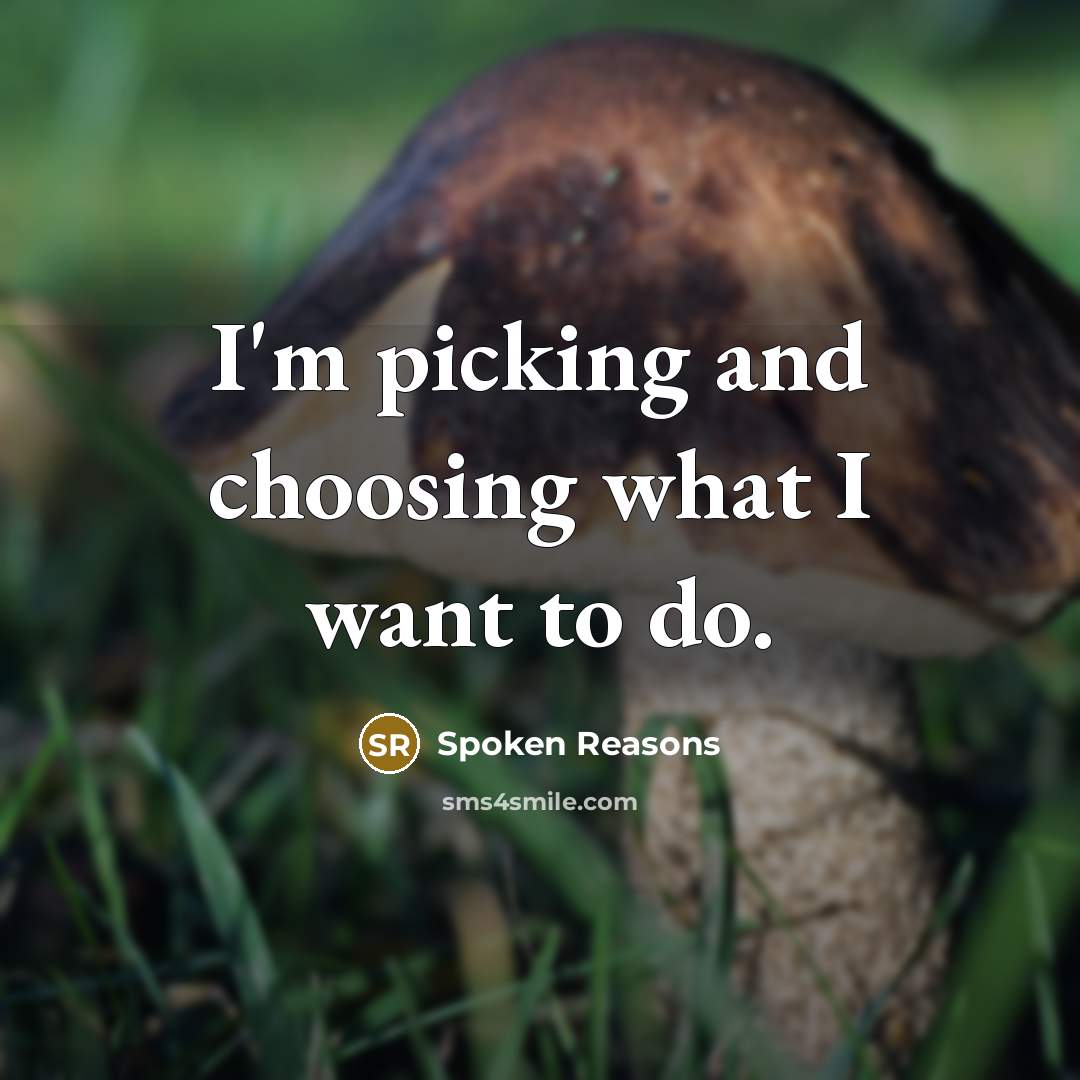 “I'm picking and choosing what I want to do.…” quote by Spoken Reasons