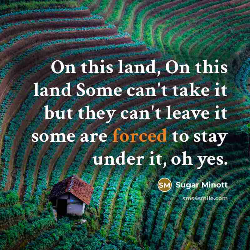 “On this land, On this land Some can't take it but they can't leave it some are forced to stay under it, oh yes.” quote by Sugar Minott