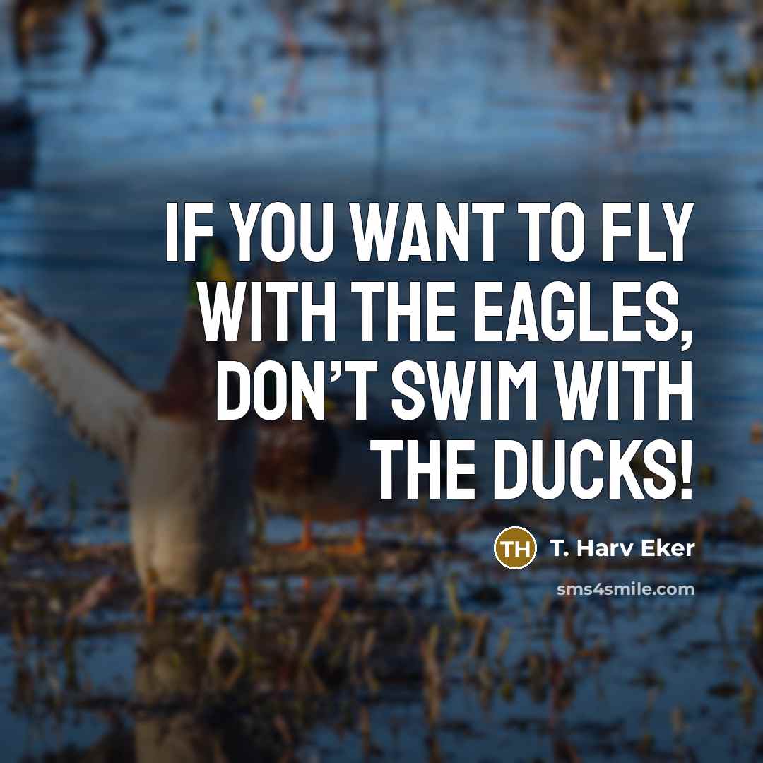 “If you want to fly with the eagles, don’t swim…” quote by T. Harv Eker
