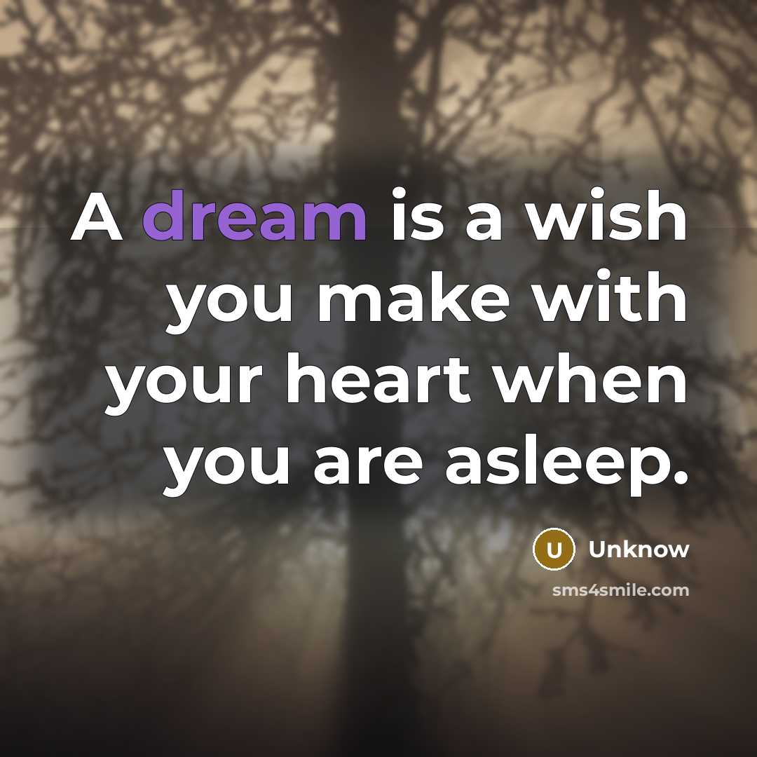 “A dream is a wish you make with your heart…” quote by Unknow