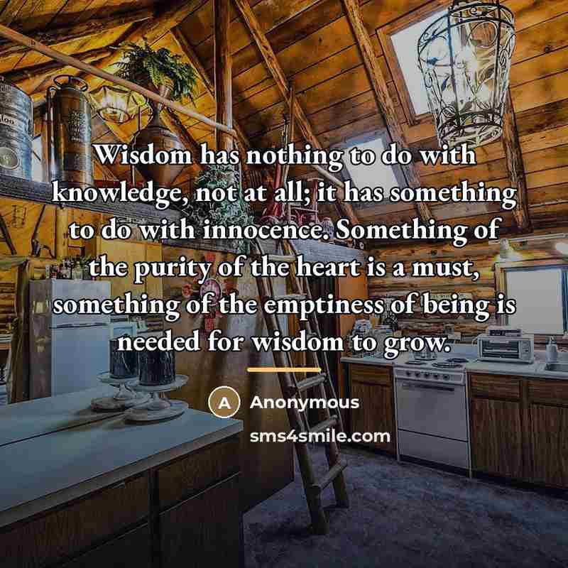 “Wisdom has nothing to do with knowledge, not at all;…” quote by Anonymous