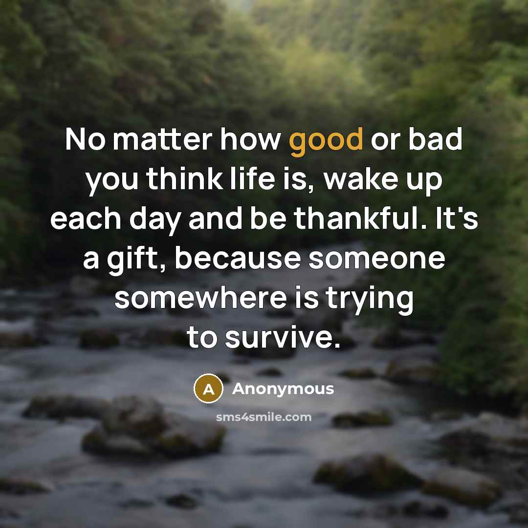 “No matter how good or bad you think life is, wake up each day and be thankful. It's a gift, because someone somewhere is trying to survive.” quote by Anonymous
