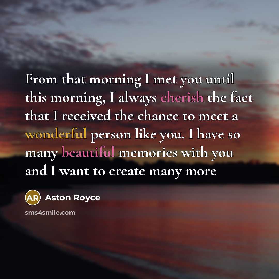 “From that morning I met you until this morning, I always cherish the fact that I received the chance to meet a wonderful person like you. I have so many beautiful memories with you and I want to create many more” quote by Aston Royce