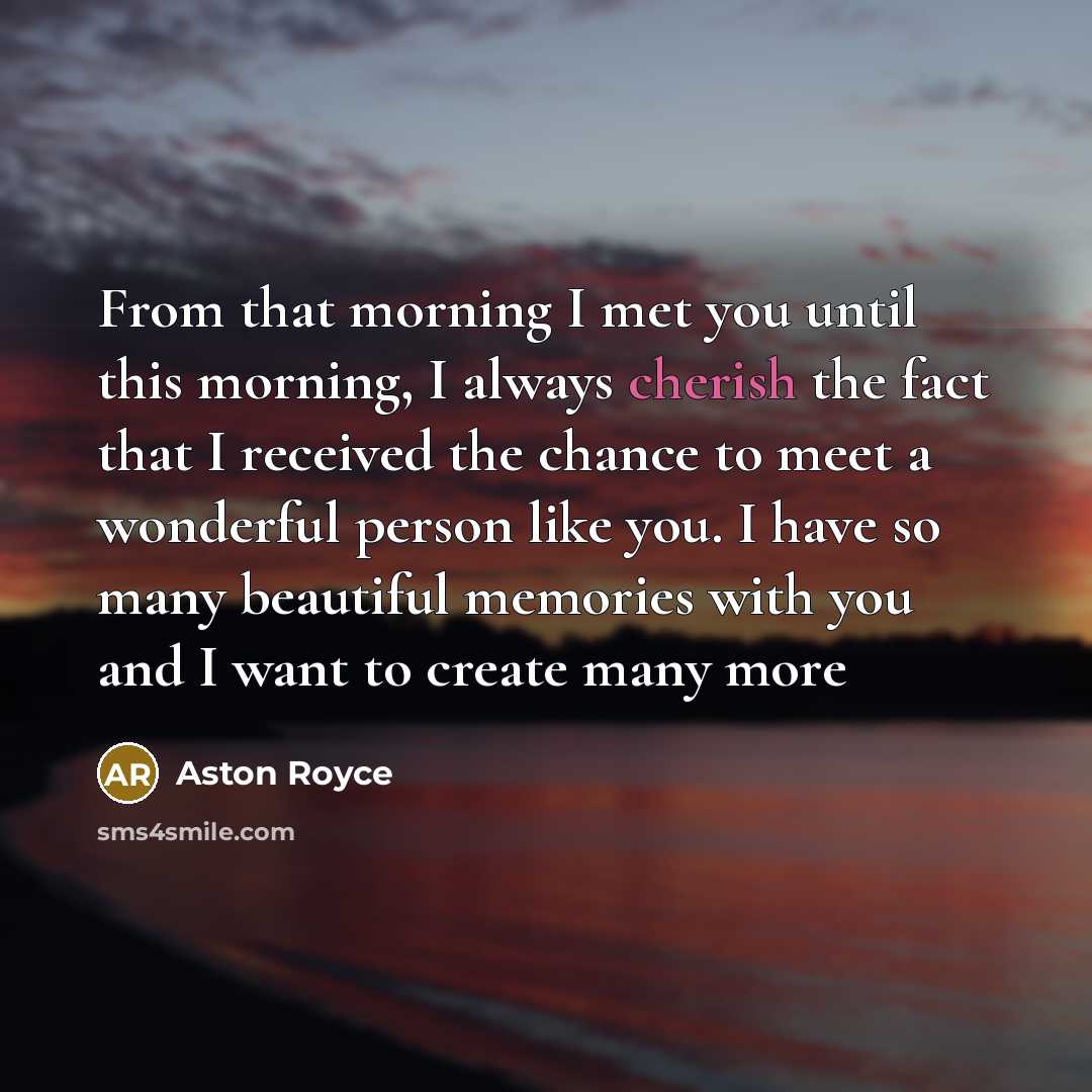 “From that morning I met you until this morning, I always cherish the fact that I received the chance to meet a wonderful person like you. I have so many beautiful memories with you and I want to create many more” quote by Aston Royce