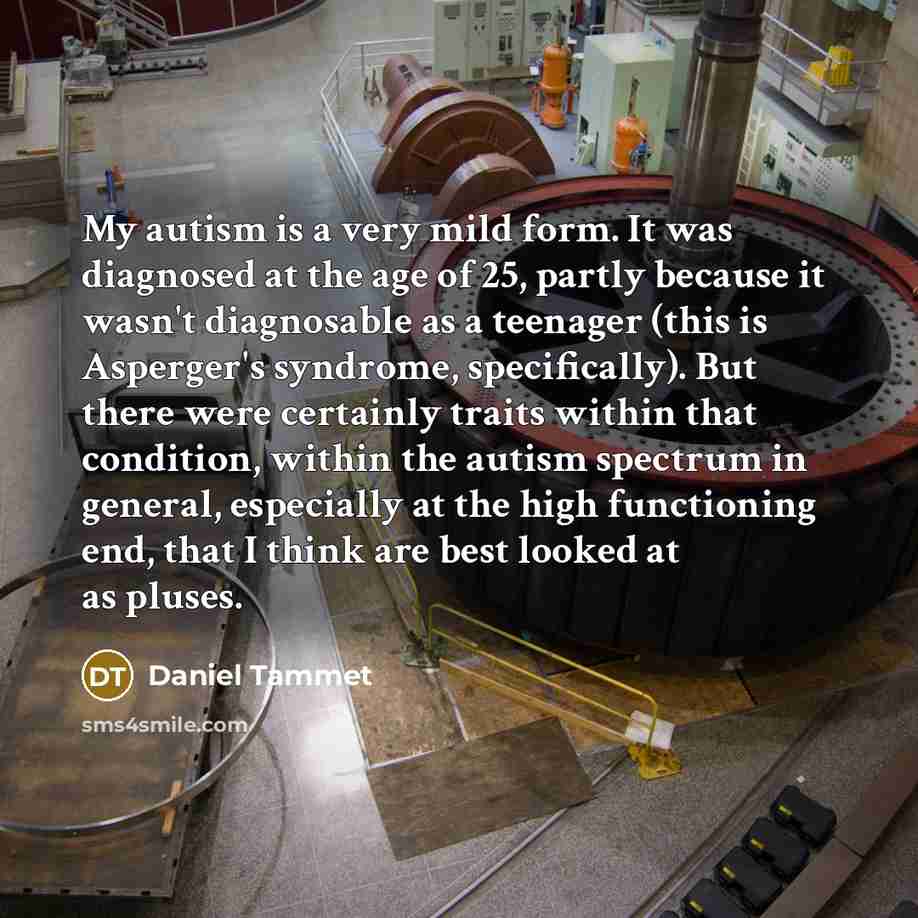 “My autism is a very mild form. It was diagnosed…” quote by Daniel Tammet