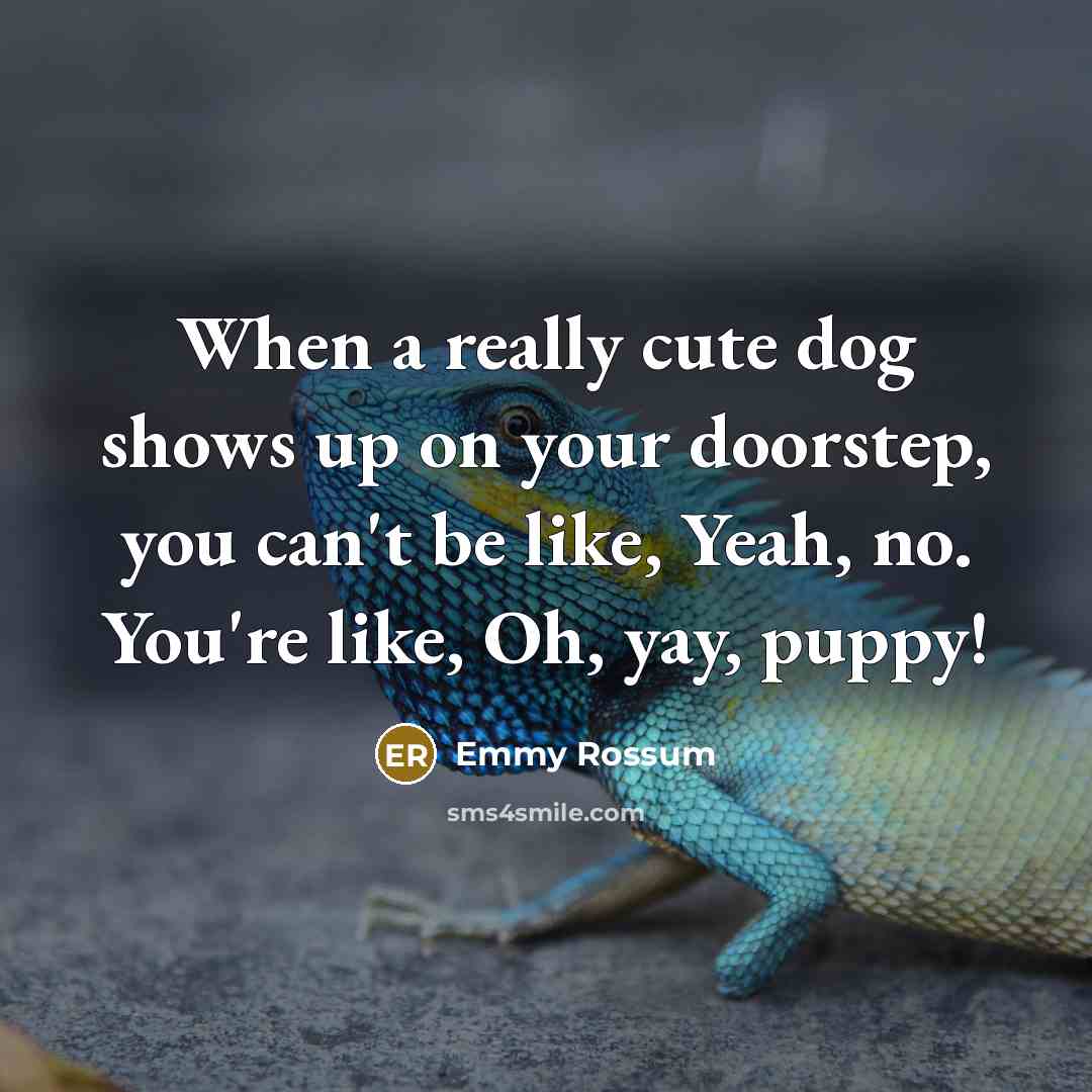 “When a really cute dog shows up on your doorstep, you can't be like, Yeah, no. You're like, Oh, yay, puppy!” quote by Emmy Rossum