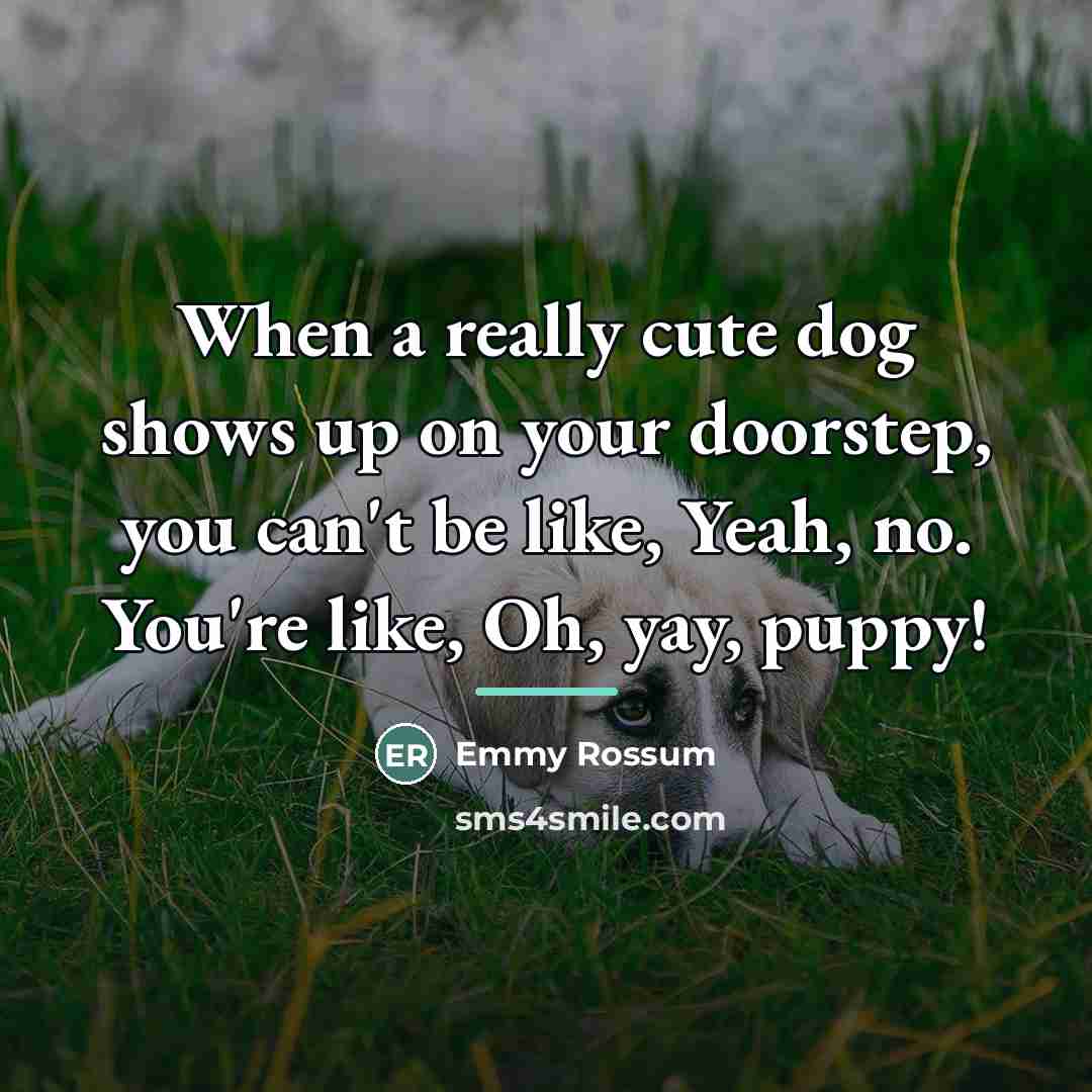 “When a really cute dog shows up on your doorstep,…” quote by Emmy Rossum