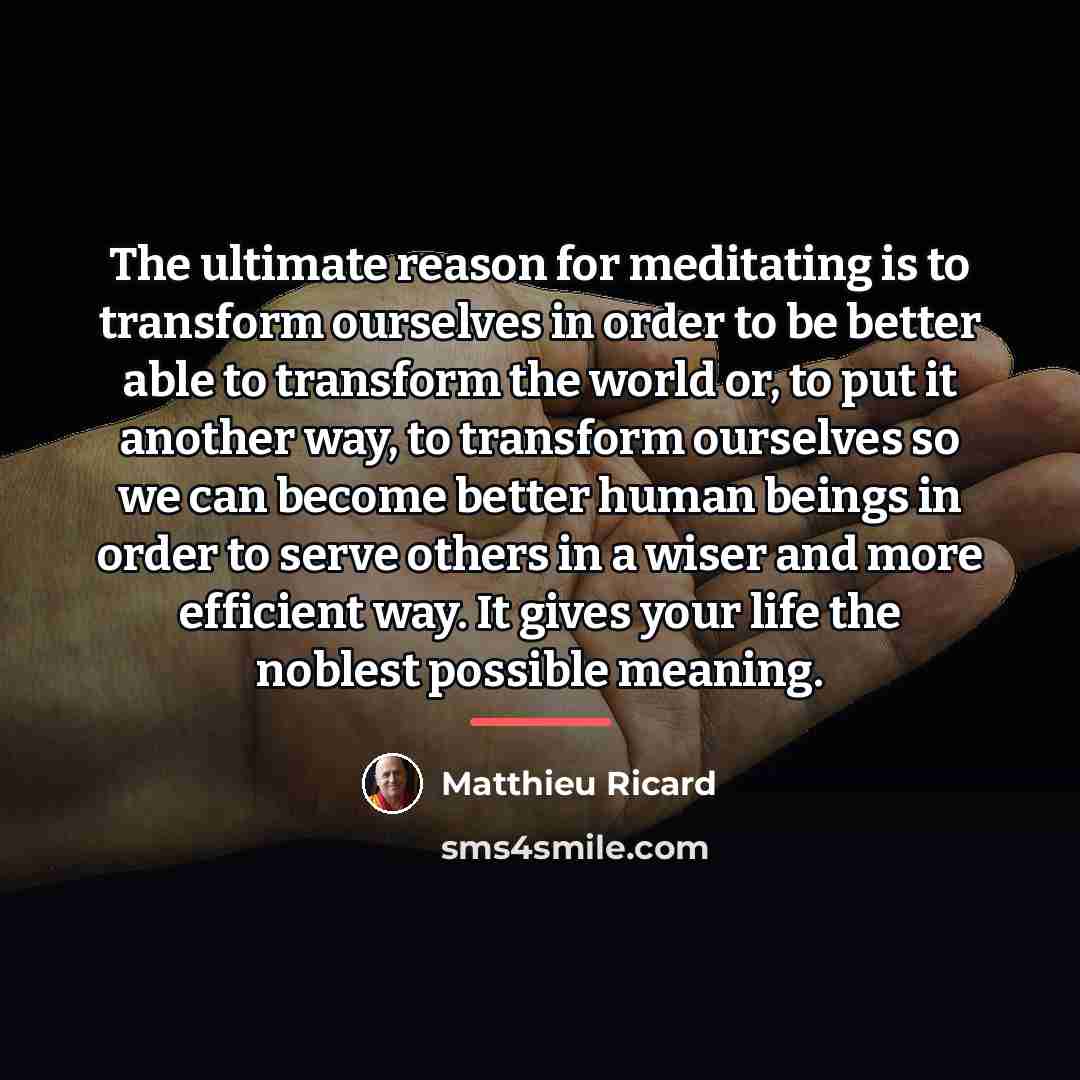 “The ultimate reason for meditating is to transform ourselves in…” quote by Matthieu Ricard