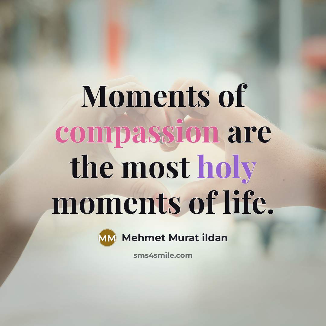“Moments of compassion are the most holy moments of life.…” quote by Mehmet Murat Ildan