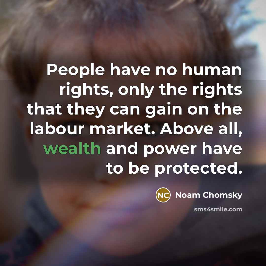 “People have no human rights, only the rights that they…” quote by Noam Chomsky