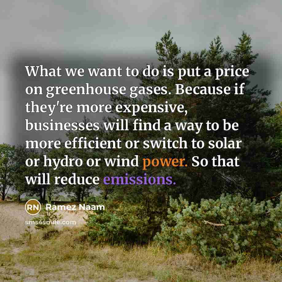 “What we want to do is put a price on greenhouse gases. Because if they're more expensive, businesses will find a way to be more efficient or switch to solar or hydro or wind power. So that will reduce emissions.” quote by Ramez Naam