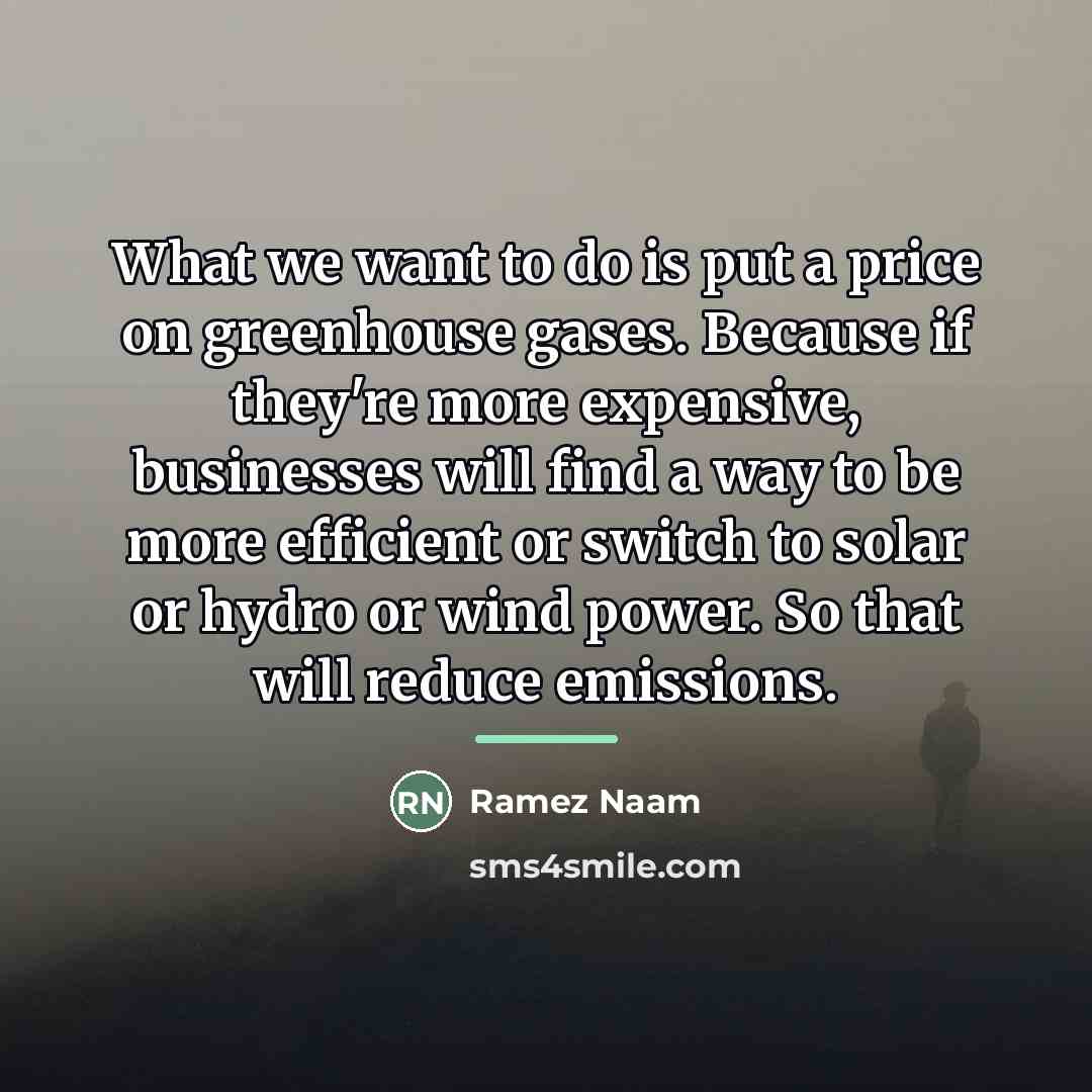 “What we want to do is put a price on…” quote by Ramez Naam