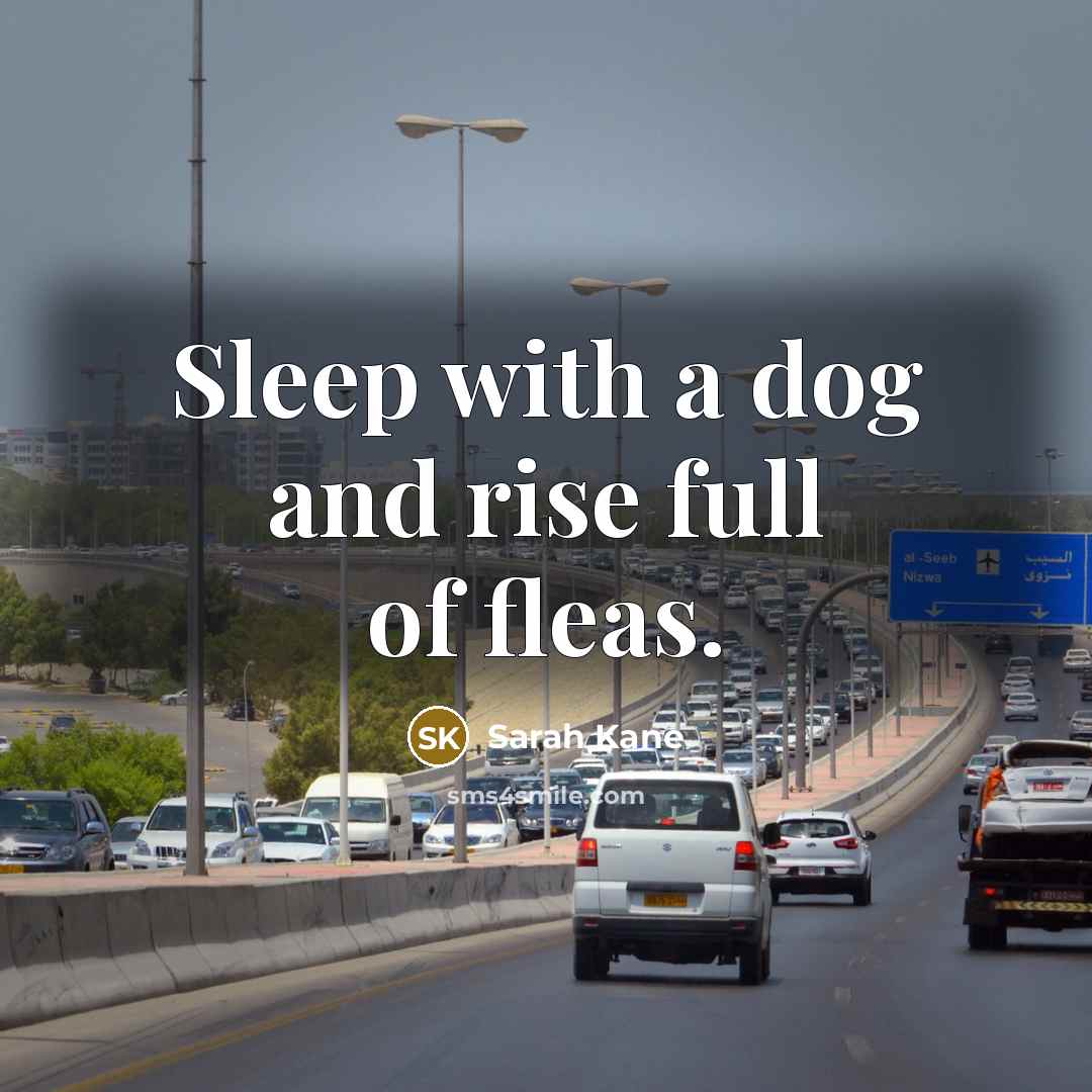 “Sleep with a dog and rise full of fleas.…” quote by Sarah Kane