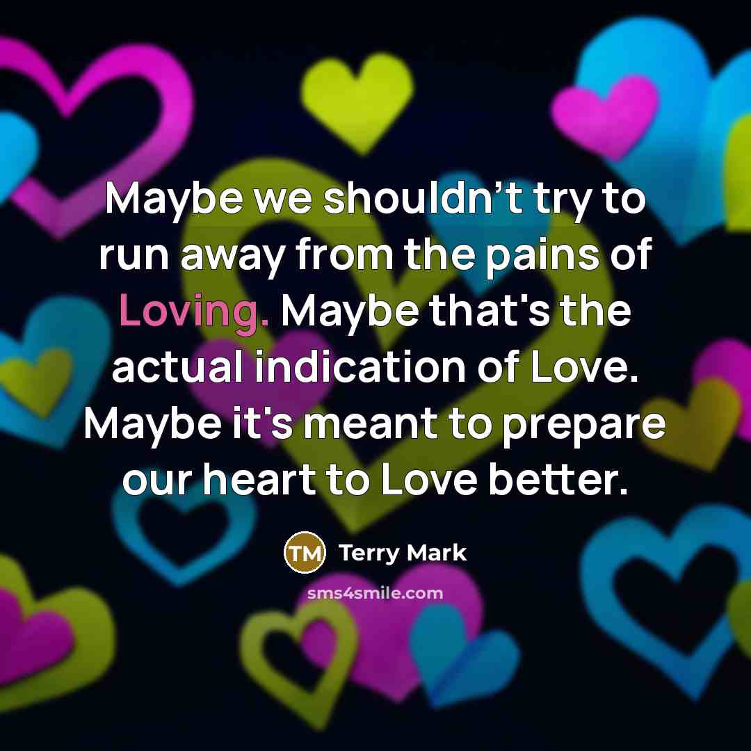 “Maybe we shouldn't try to run away from the pains…” quote by Terry Mark