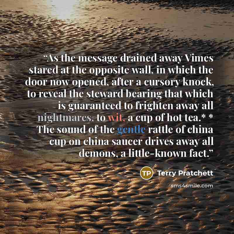 “As the message drained away Vimes stared at the opposite wall, in which the door now opened, after a cursory knock, to reveal the steward bearing that which is guaranteed to frighten away all nightmares, to wit, a cup of hot tea.* * The sound of the gentle rattle of china cup on china saucer…” quote by Terry Pratchett