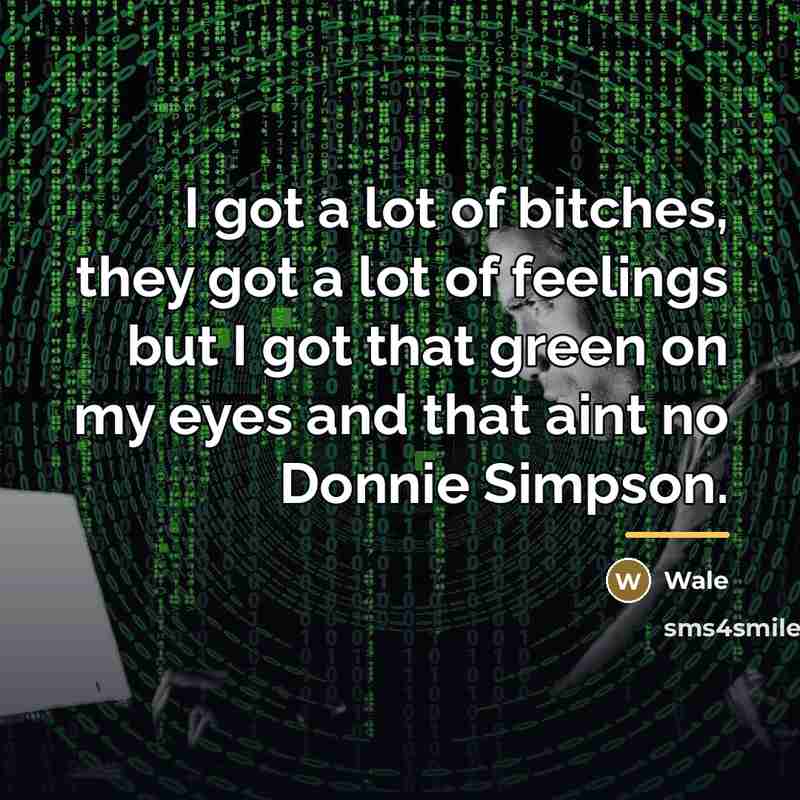 “I got a lot of bitches, they got a lot…” quote by Wale